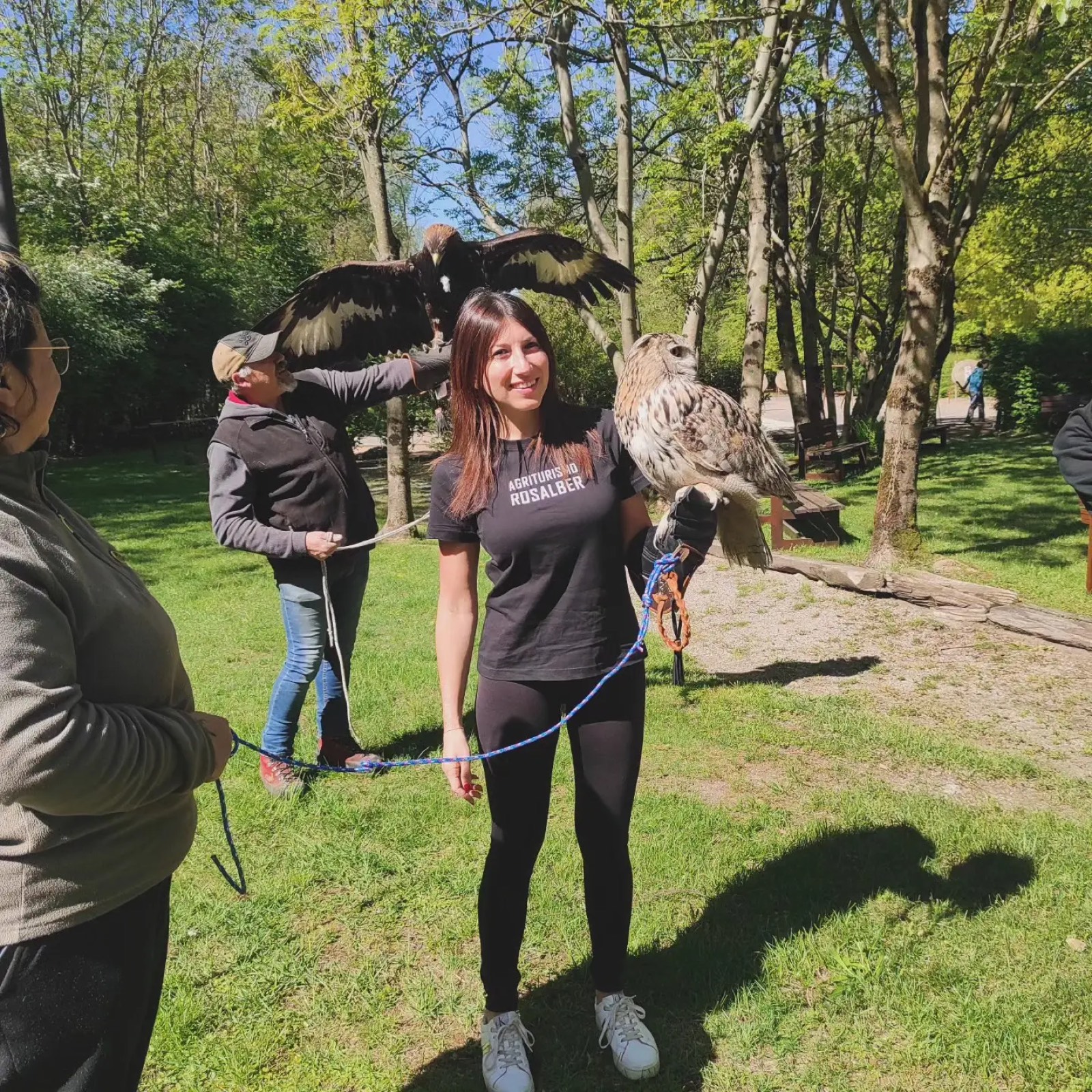 Dimostrazione di falconeria con rapaci all'agriturismo Rosalber