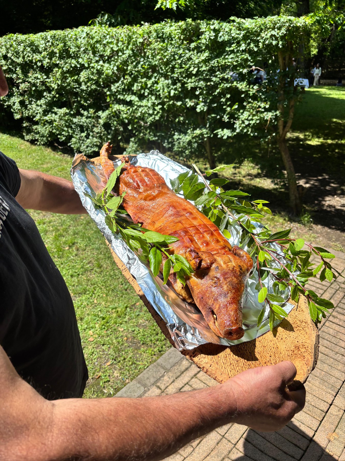 Porchetta per gli eventi, guarnita con alloro nel giardino