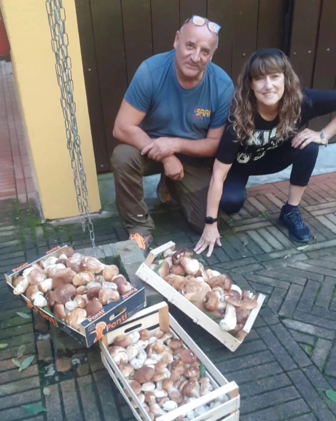 Cassette di funghi porcini raccolti nei boschi